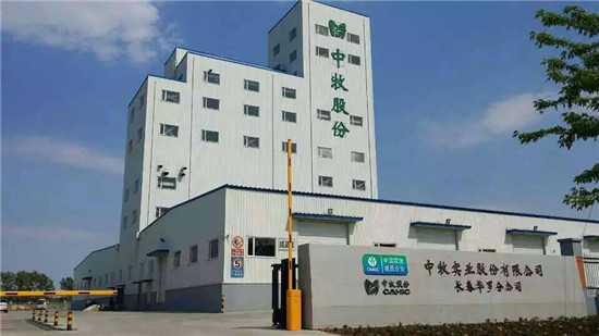 长春华罗_副本