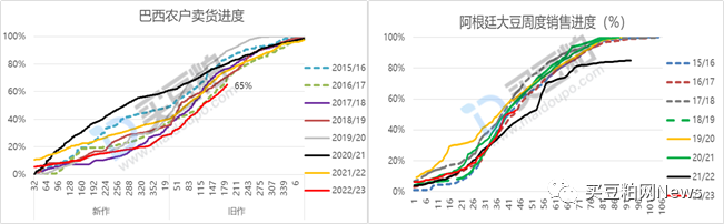 豆粕11