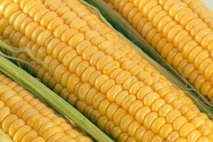 强势反弹！玉米能否延续涨势？