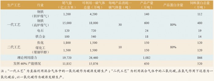 表 9 微生物菌体蛋白（乙醇梭菌蛋白）生产潜力情况表