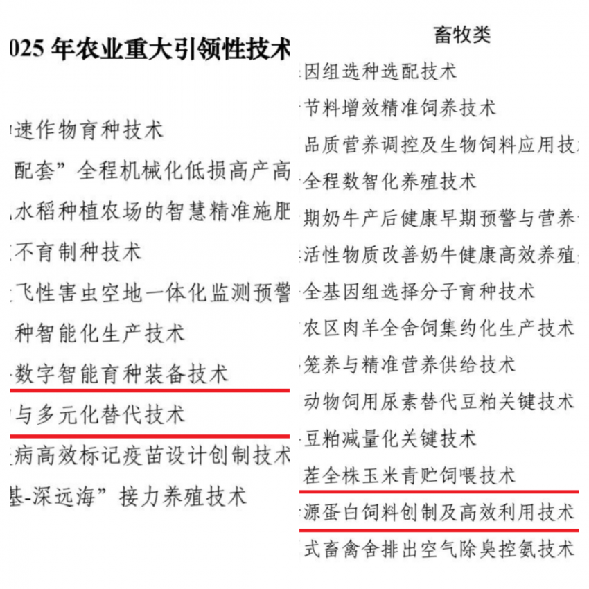未命名