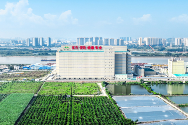 图片3