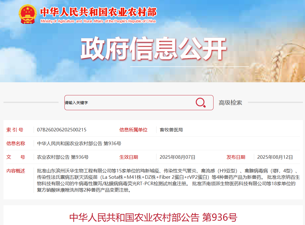 QQ_1754969194421