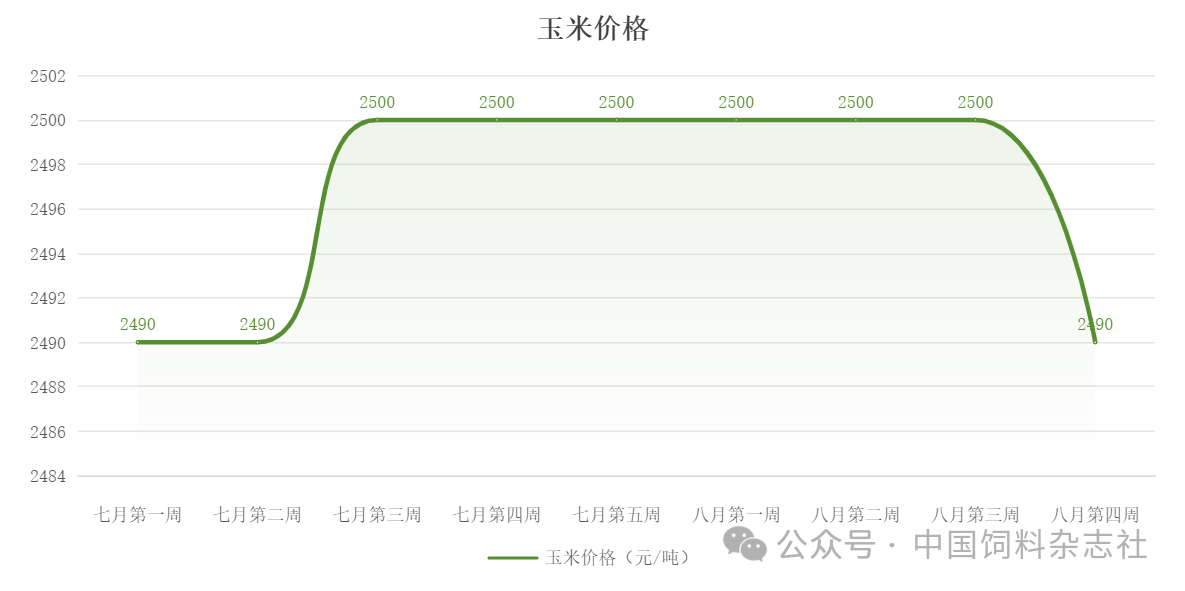 玉米