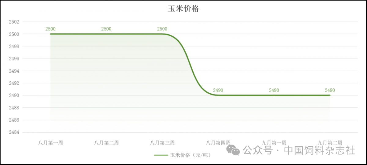 玉米