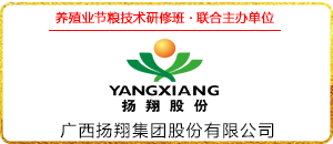 广西扬翔