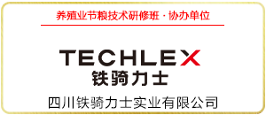 铁骑力士